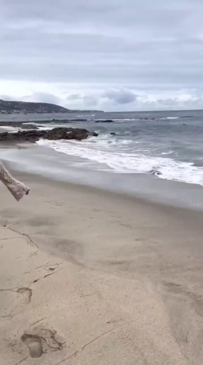 Ariel Kytsya video on the beach, moving in a super seductive way